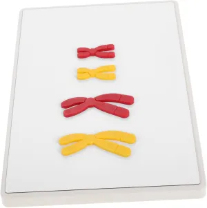 1 Set Model Teach Change Models Teaching Props Biology Biology Teaching Biology Teaching Models Biology Supplies School Supply Plastic