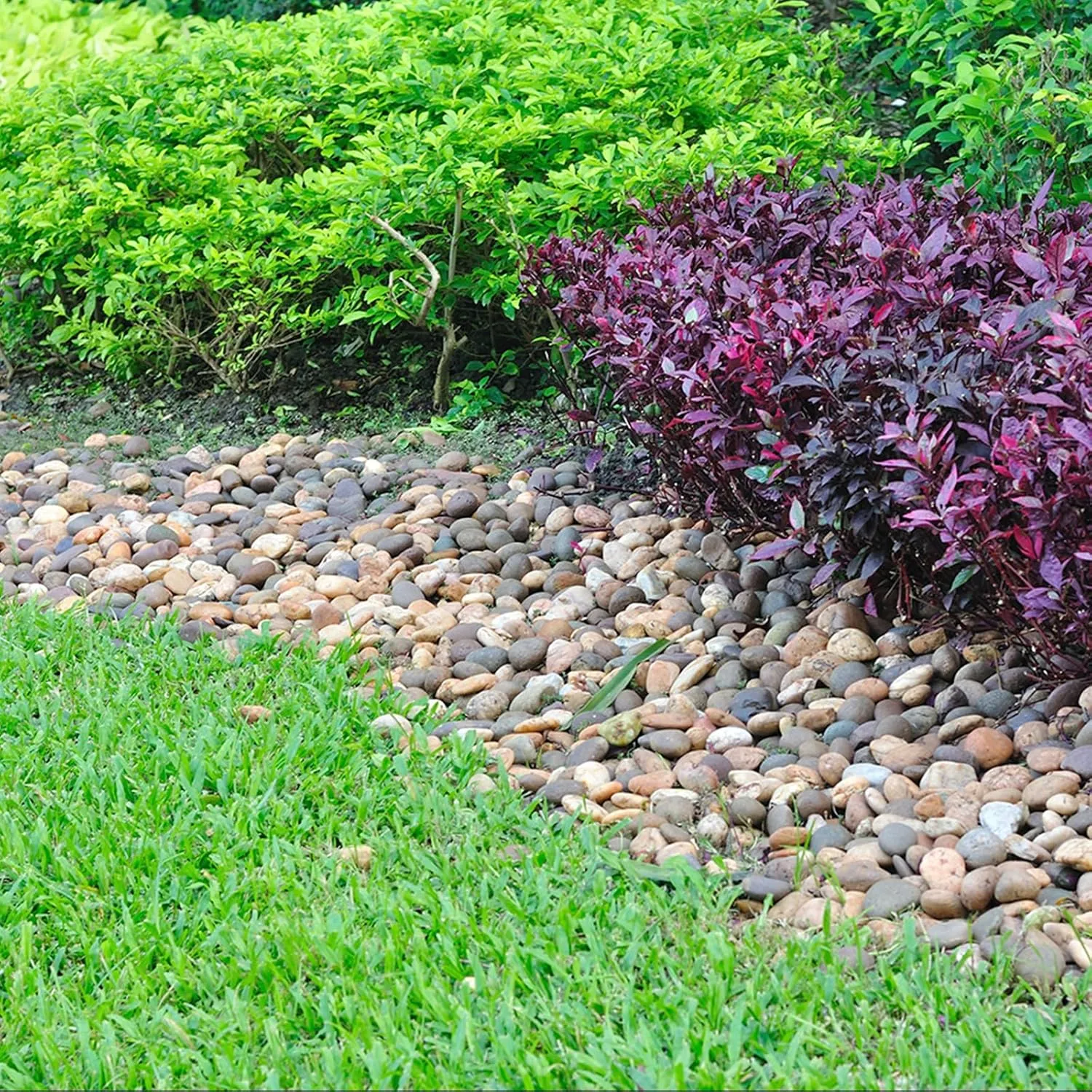 5lbs River Rocks for Landscaping, 2"-3" Decorative Garden Stones for Plants, Flower Pots, Vase, Walkways, Yard, Natural Rocks for Aquarium, Fish Tank
