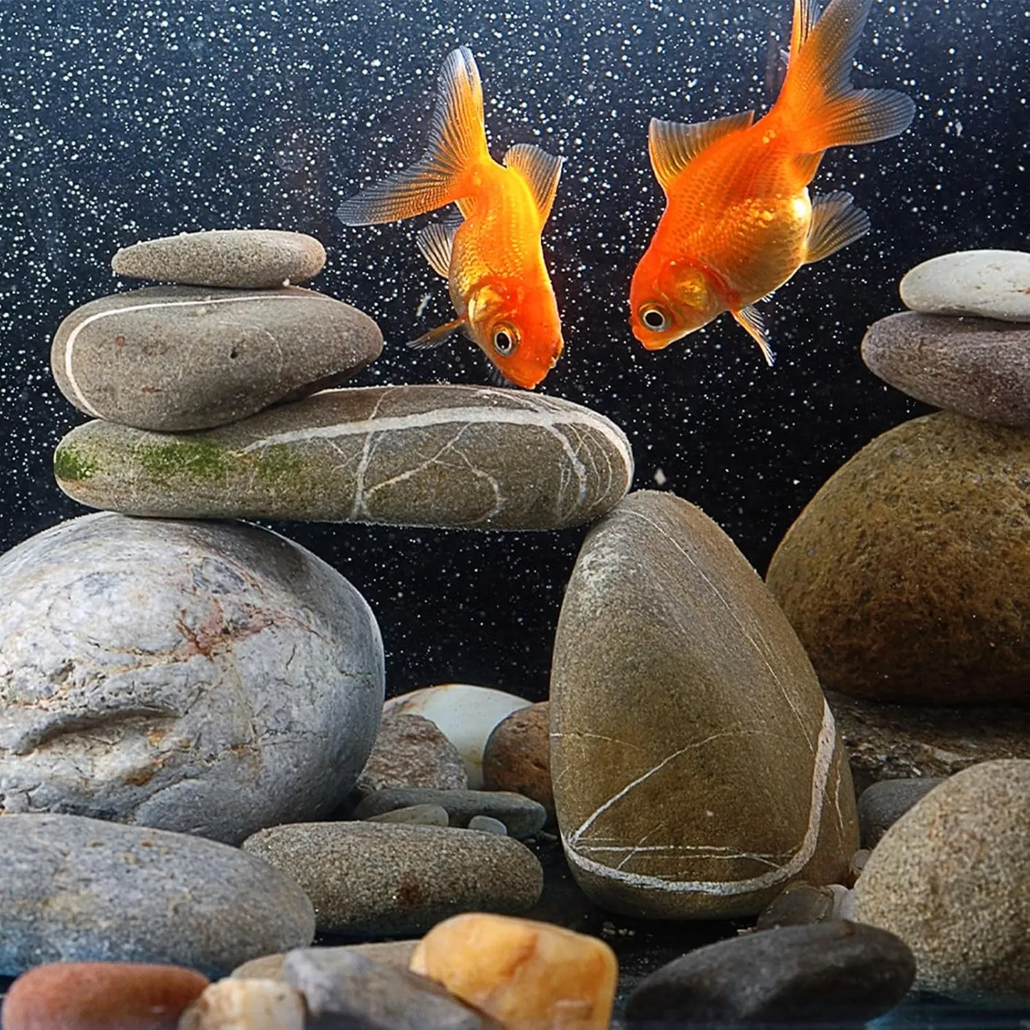 5lbs River Rocks for Landscaping, 2"-3" Decorative Garden Stones for Plants, Flower Pots, Vase, Walkways, Yard, Natural Rocks for Aquarium, Fish Tank