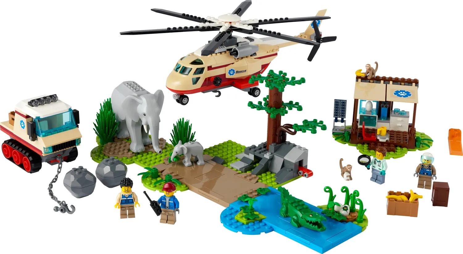 City: Wildlife Rescue Operation