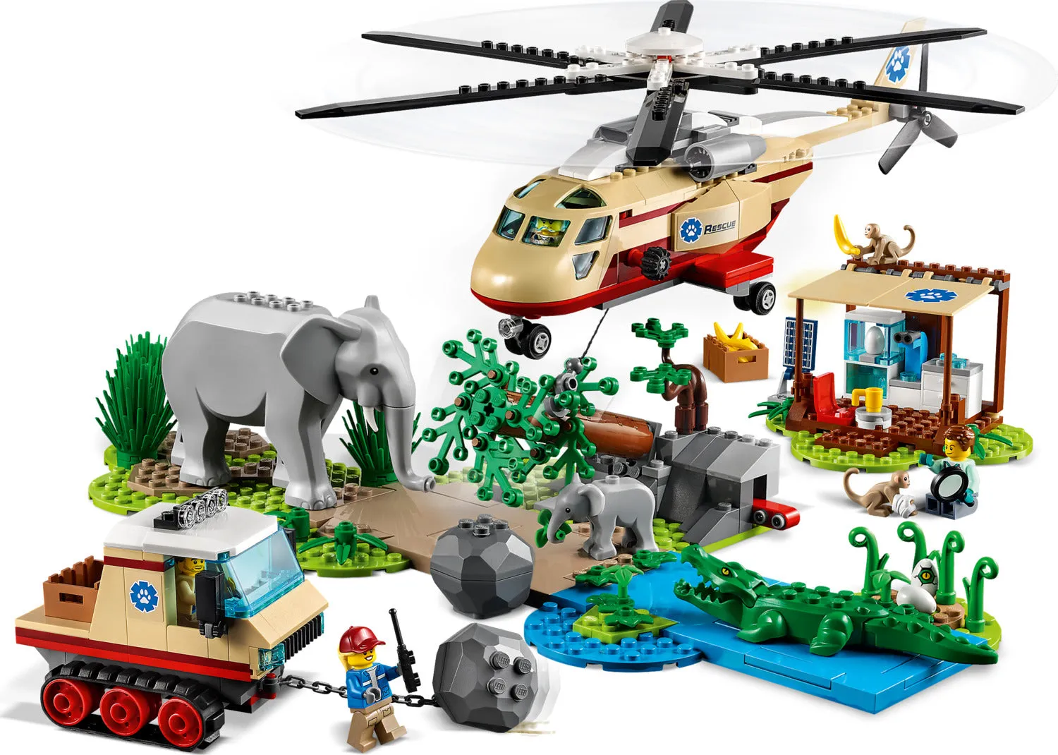 City: Wildlife Rescue Operation