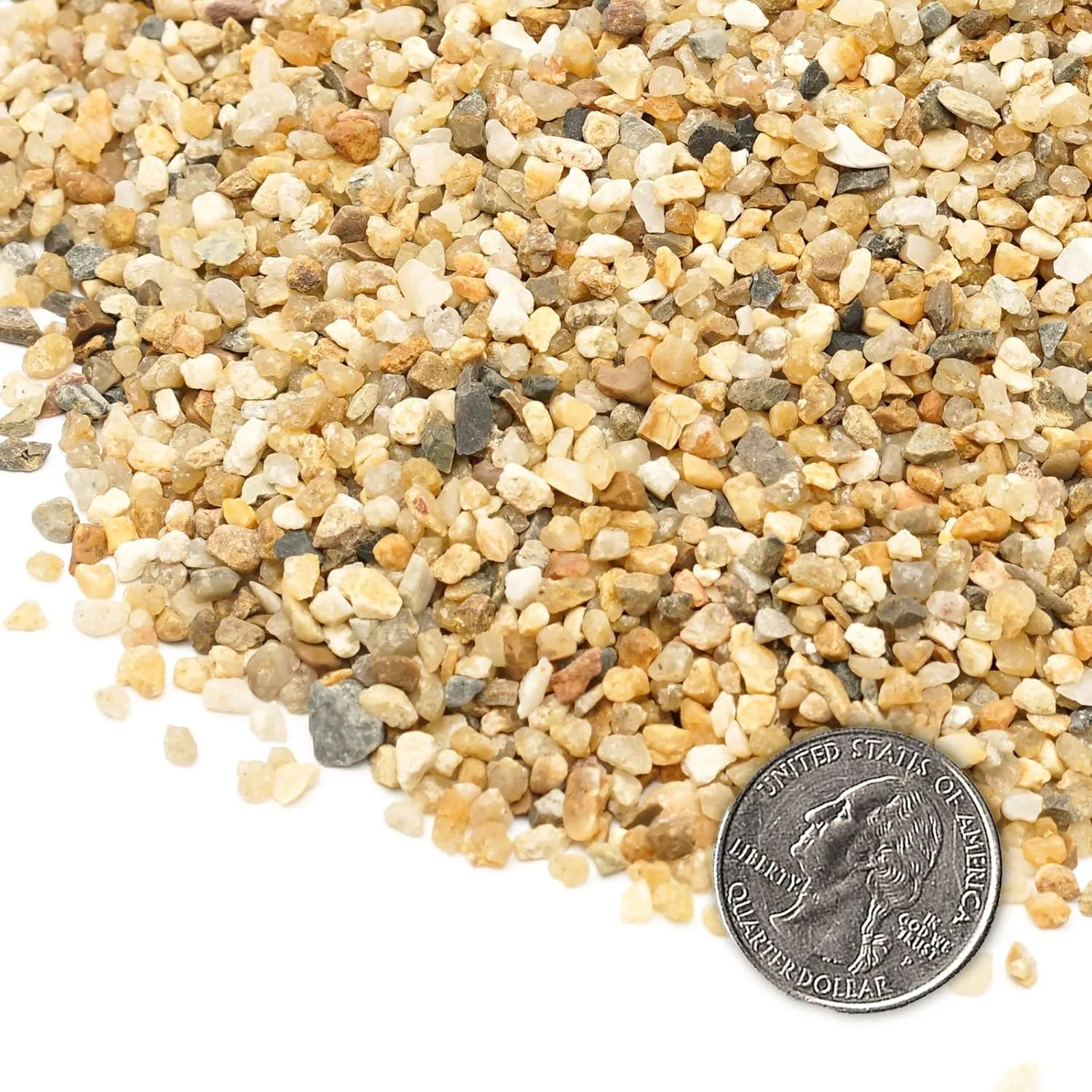 Coarse Sand Stone - Succulents and Cactus Bonsai DIY Projects Rocks, Decorative Gravel for Plants and Vases Fillers，Terrarium, Fairy Gardening, Natural Stone Top Dressing for Potted Plants.