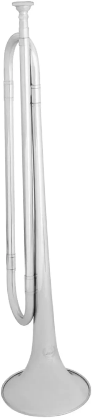 Educational Musical Toy Trumpet Student Trumpet for Boys and Girls Brass Body and B-flat Tuning