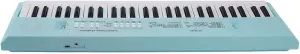 Electric Piano, Electronic Keyboard 5 Instrumental Sounds Dual Power System 54 Key 8 Tones with Microphone for Learning for Indoors (Blue)