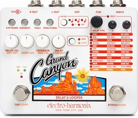 Electro-Harmonix Grand Canyon Delay & Looper Pedal