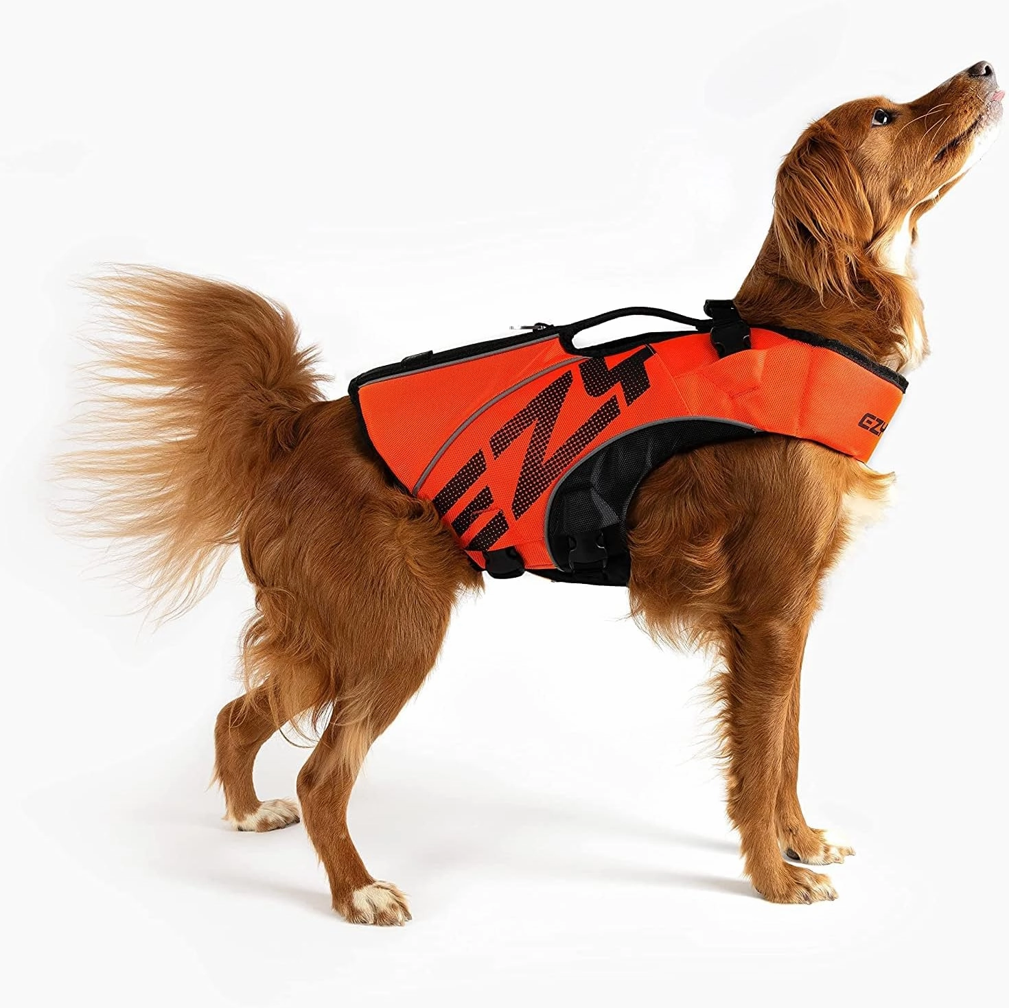 EzyDog DFD X2 Dog Life Jacket - Adjustable Swimming Safety Life Vest Preserver with Continuous Neck Flotation, Reflective Trim, & Grab Handle (Large, Red)