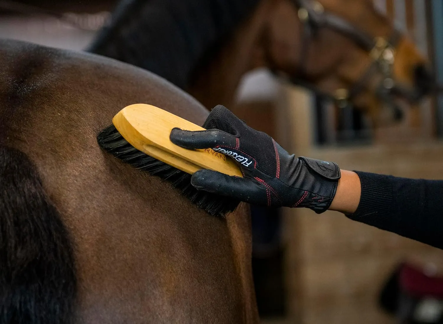 FARRIS Flexgrip Horse Riding Gloves for Women and Men, Padded Equestrian Gloves with Breathable Mesh and Reinforced Thumbs and Fingers