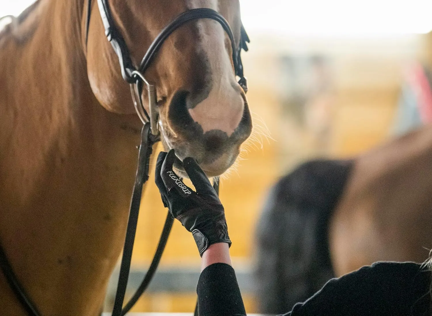 FARRIS Flexgrip Horse Riding Gloves for Women and Men, Padded Equestrian Gloves with Breathable Mesh and Reinforced Thumbs and Fingers