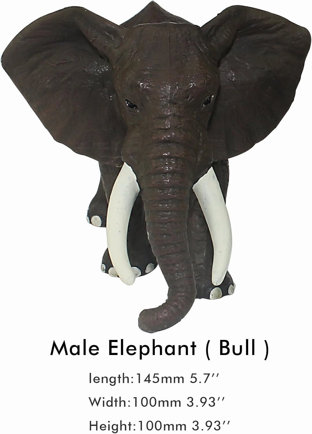 FUNSHOWCASE African Jungle Animals Toy Elephants Figure Realistic Plastic Figurine Playset Lot 3-Piece