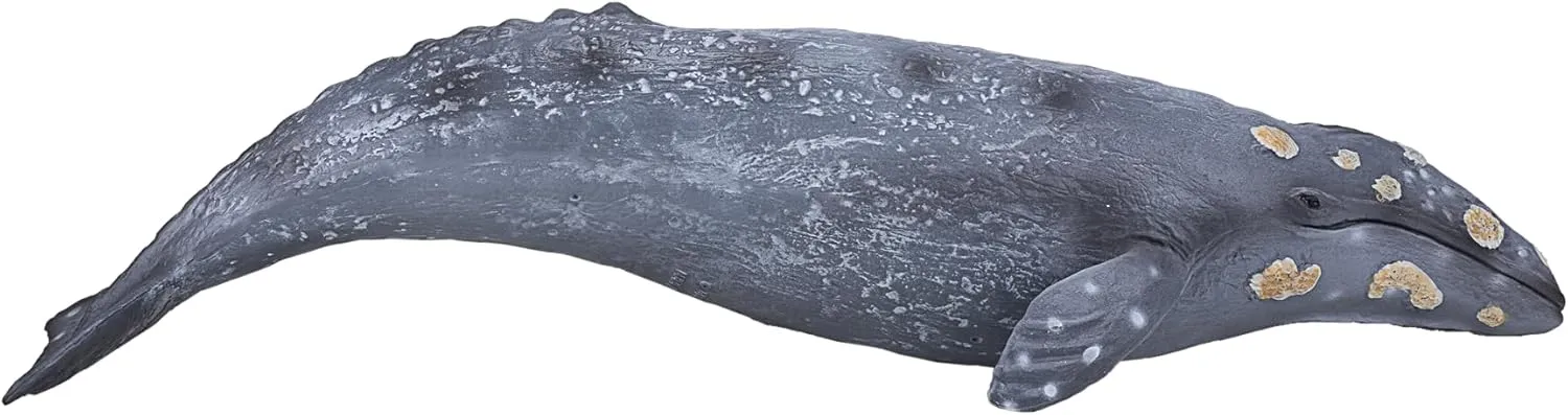 MOJO Large Grey Whale Realistic International Wildlife Toy Replica Hand Painted Figurine (387280)
