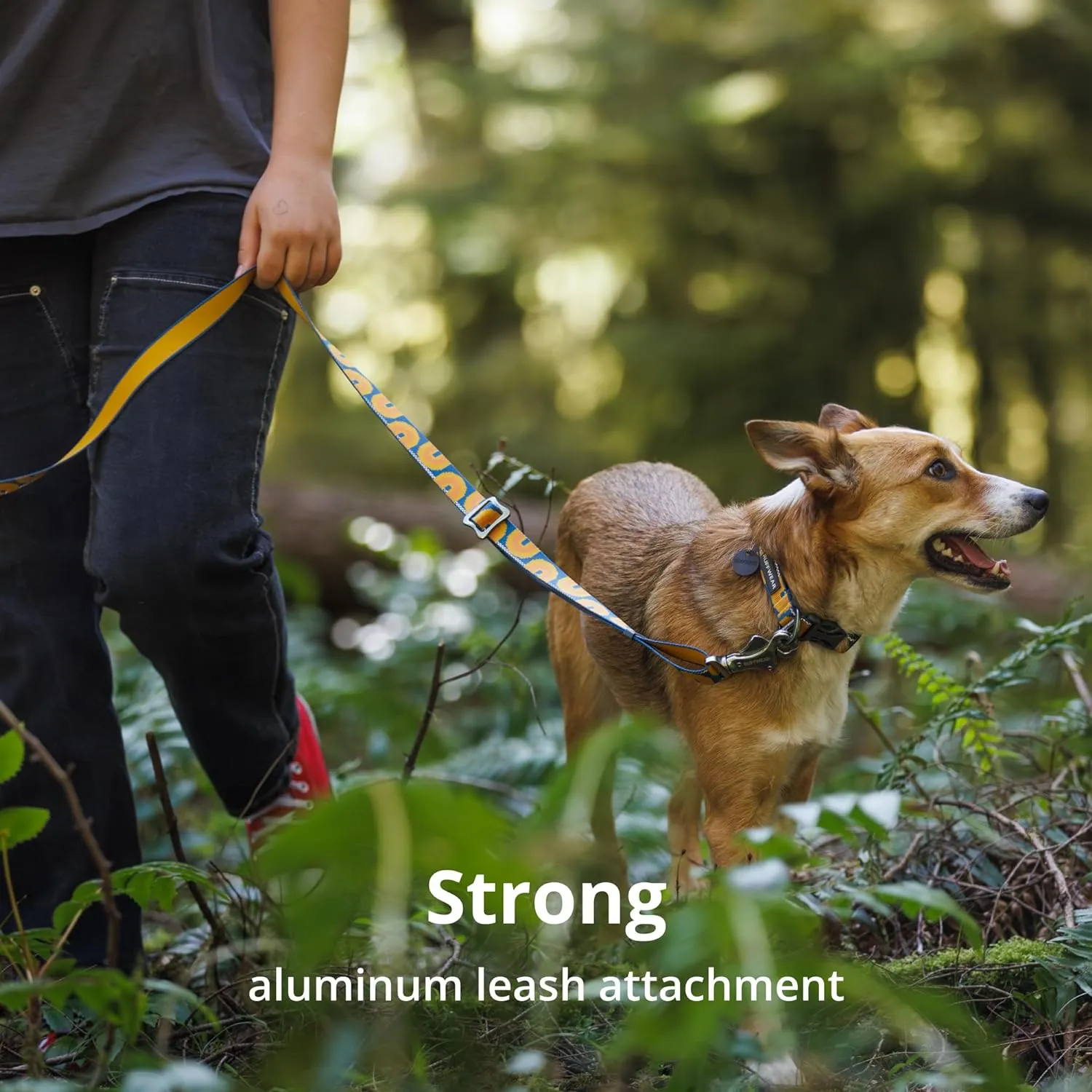 Ruffwear, Crag Dog Collar, Reflective and Comfortable Collar for Everyday Use, Alpine Dusk, 14"-20"