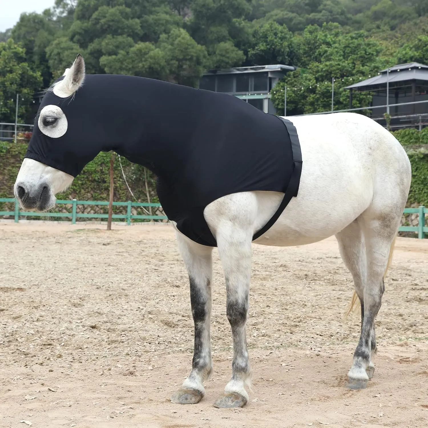 Stretch Horse Slinky Hood Spandex Mane Stay Hoods with Zipper Black Medium