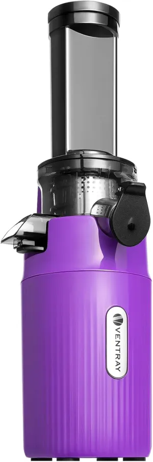 Ventray Ginnie Mini Cold Press Juicer, Small Slow Masticating Juicer for Vegetables and Fruits, High Juice Yield, Easy to Clean, Space-Saving, Fit for Personal/Travel/Picnic/Office - Purple