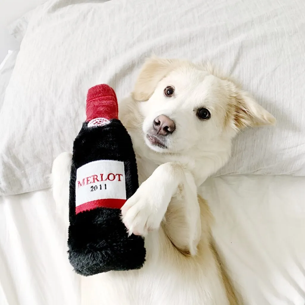 ZippyPaws Happy Hour Crusherz Dog Toy -Merlot